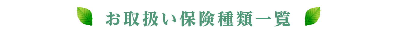 お取扱い保険種類一覧